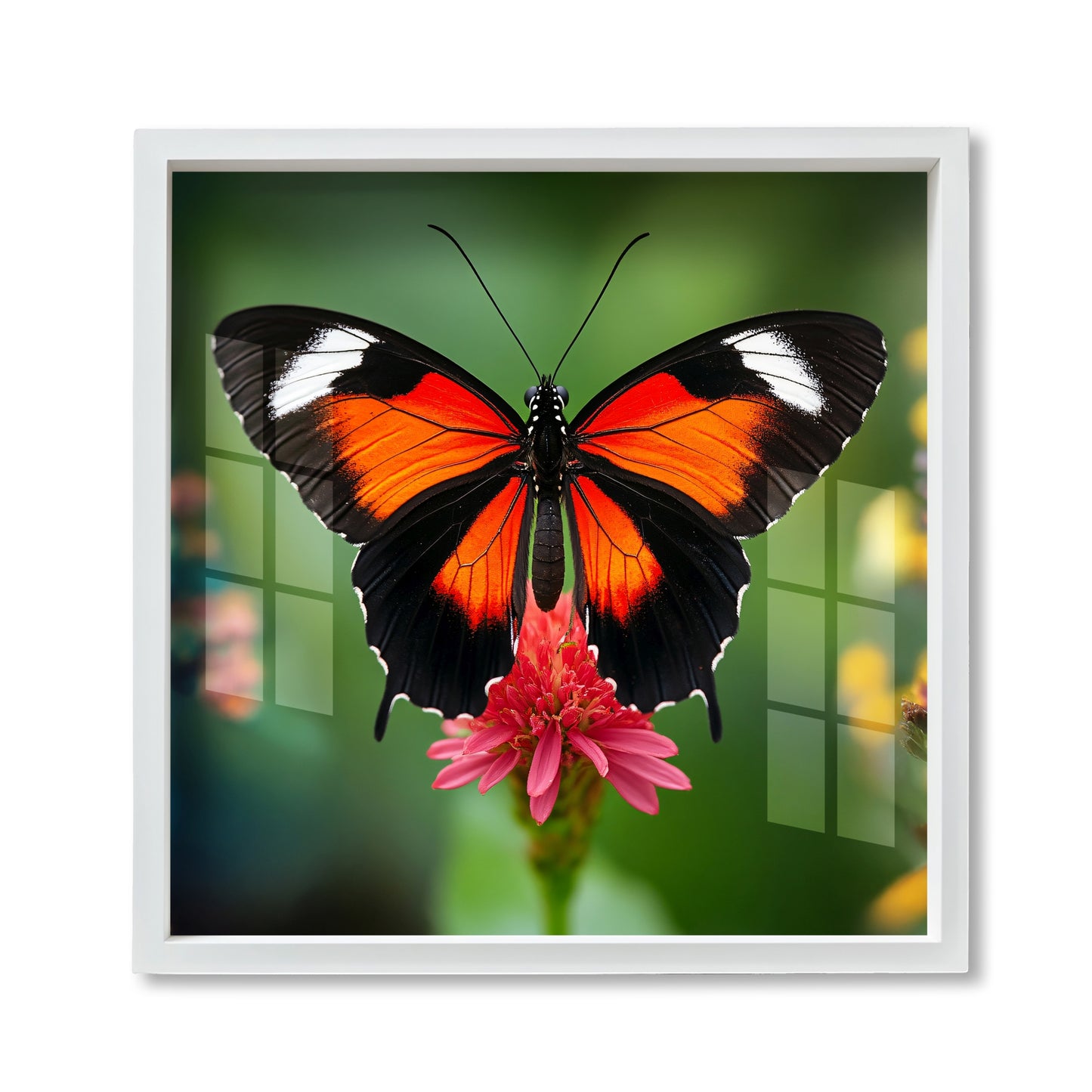 Premium Butterfly Acrylic Wall Painting with Frame for Living Room, Bedroom & Home Decor - Vibrant, Elegant Modern Wall Art